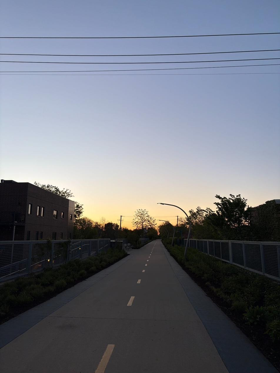 An empty path at sunset